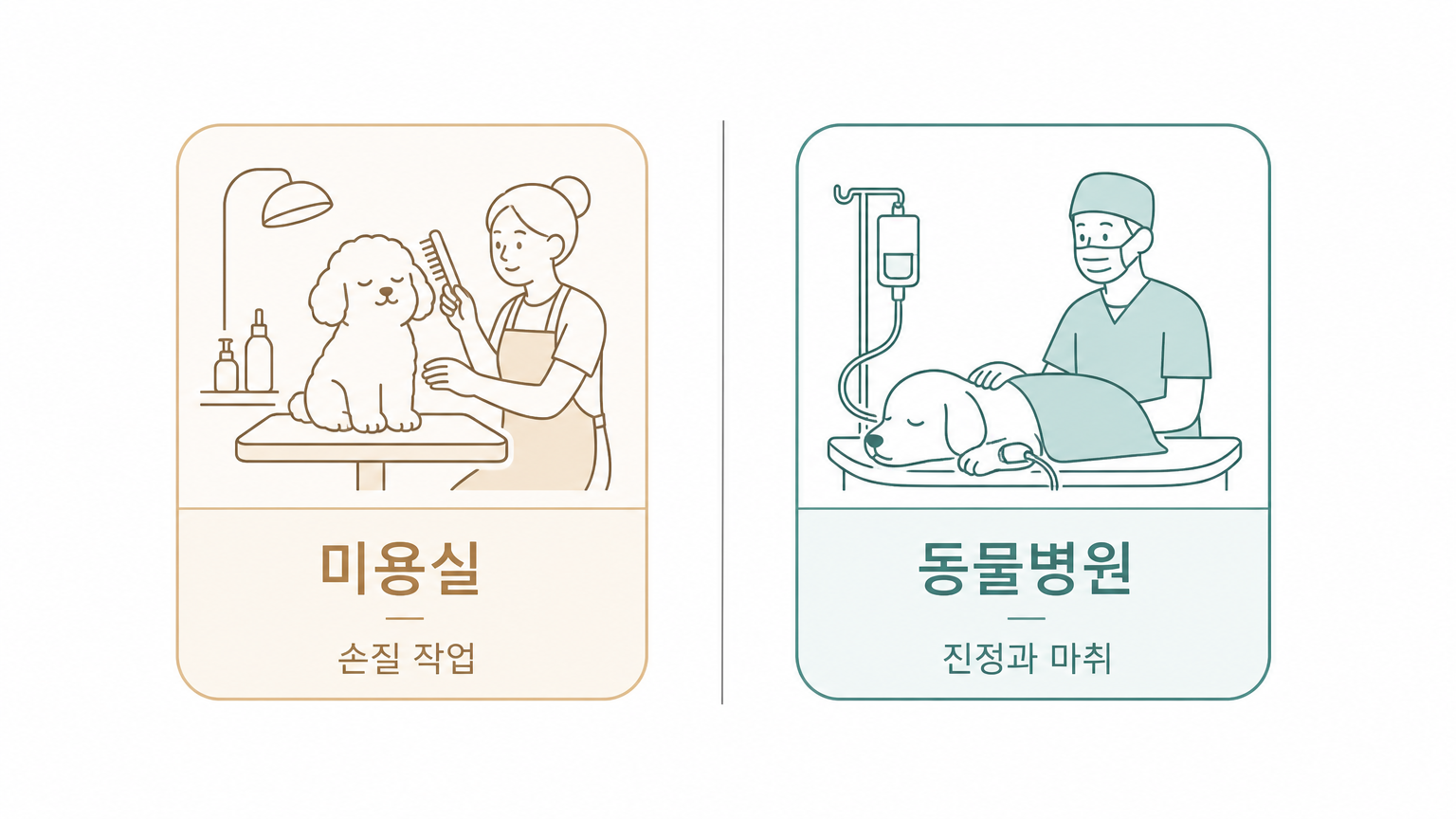 손질은 미용실, 진정과 마취는 동물병원 (댕묘 제작 도식)