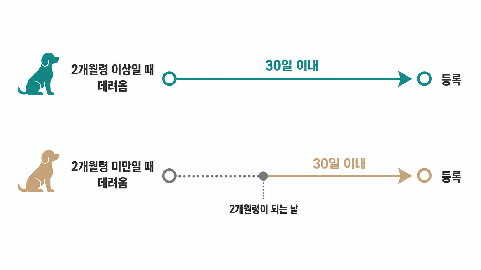 등록 기한은 데려온 시점에 따라 두 갈래로 갈린다. 근거: 「동물보호법」 제15조·같은 법 시행령