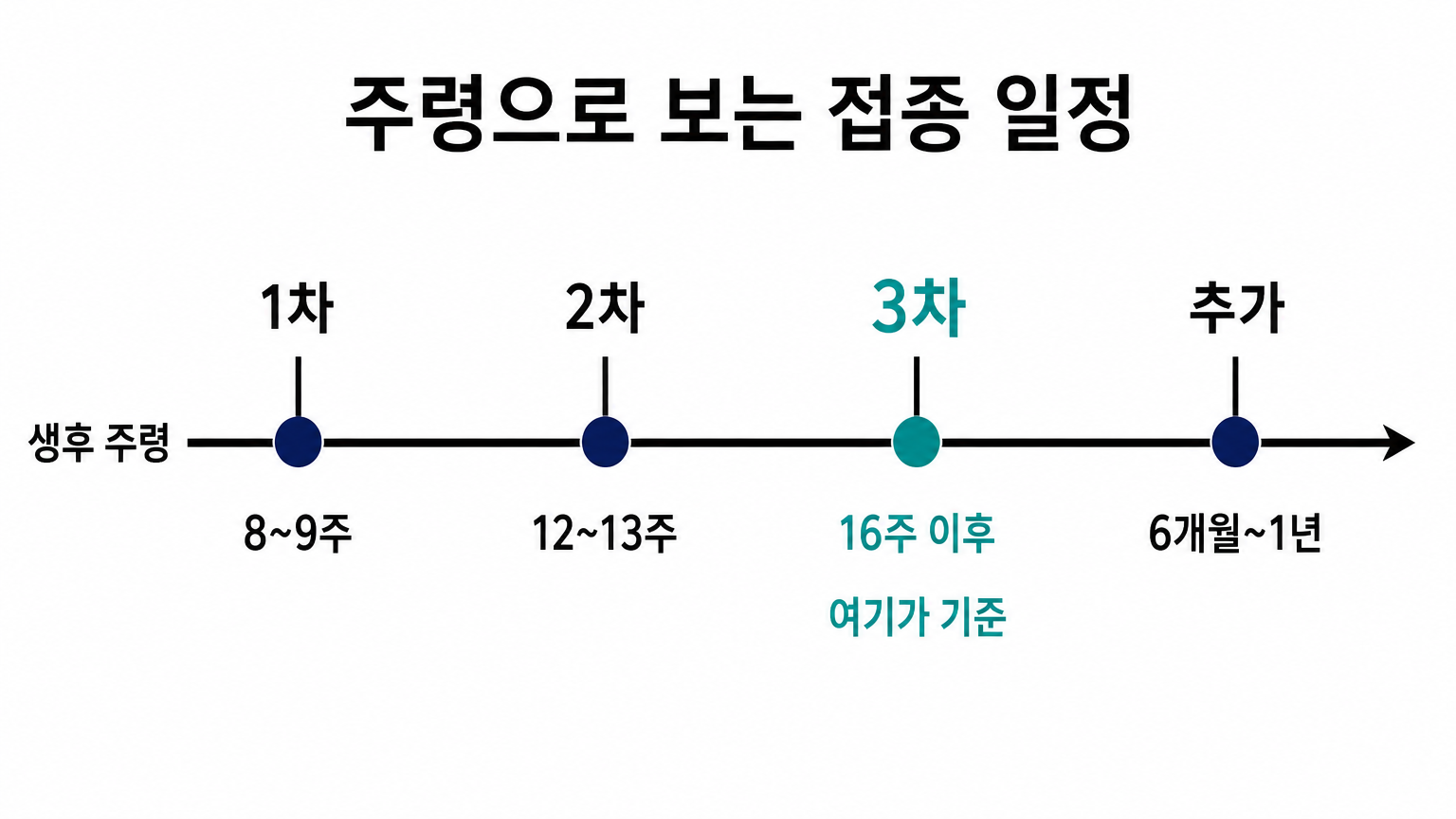 횟수가 아니라 주령을 축으로 놓고 본 접종 일정 (댕묘 제작 도식)