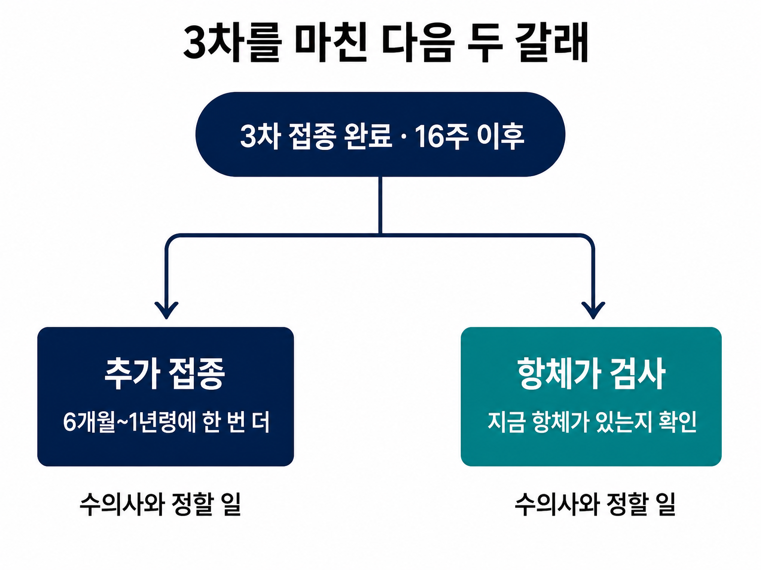 3차를 마친 뒤 추가 접종과 항체가 검사로 갈리는 두 갈래 (댕묘 제작 도식)