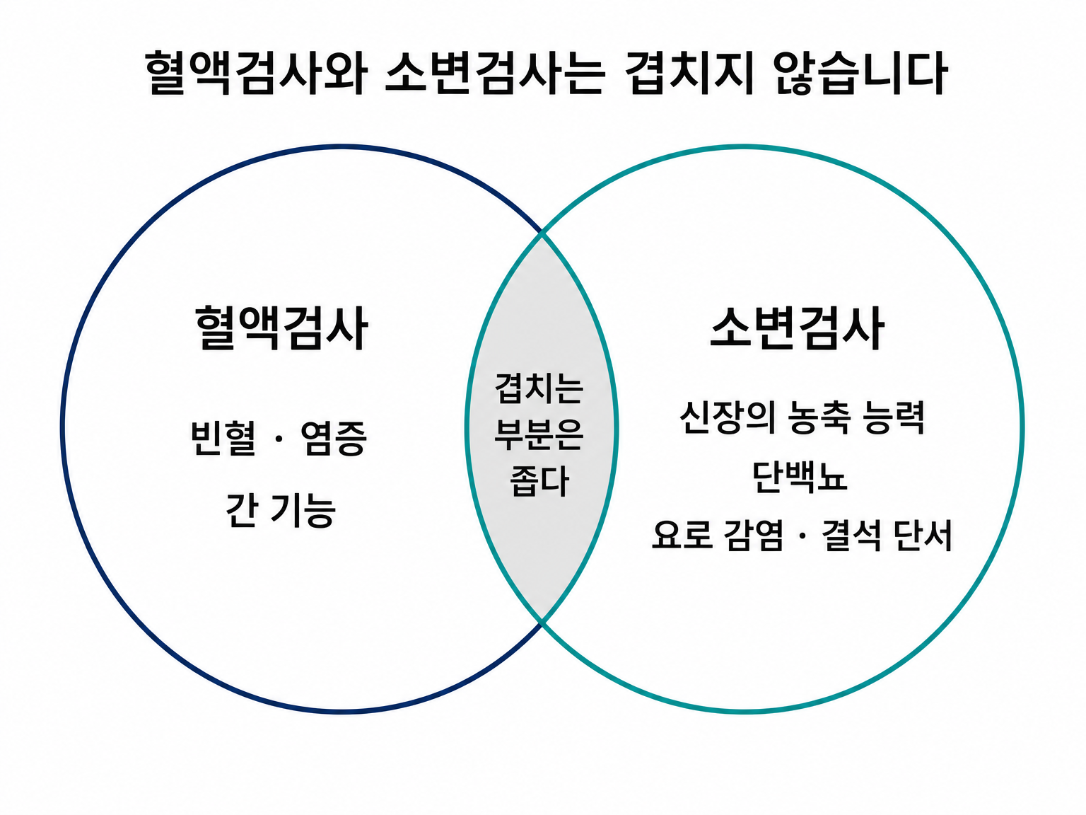 혈액검사와 소변검사가 덮는 범위는 거의 걹치지 않는다 (댕묘 제작 도식 · 출처 MSD Veterinary Manual)