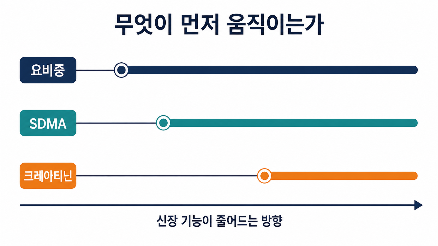 요비중과 SDMA는 크레아티닌보다 먼저 움직인다 (국제신장연구회 IRIS 기준, 자체 제작 도식)