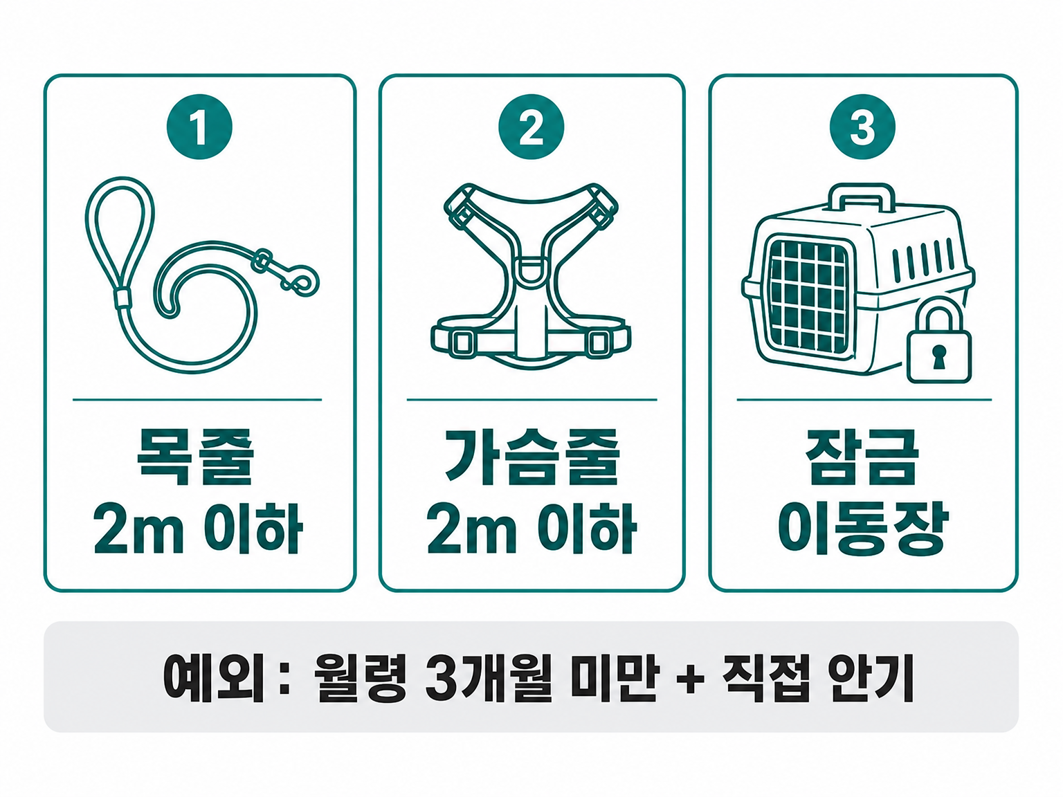 시행규칙 제11조 제1호가 인정하는 세 가지 안전조치와 예외 (댕묘 제작 도식)