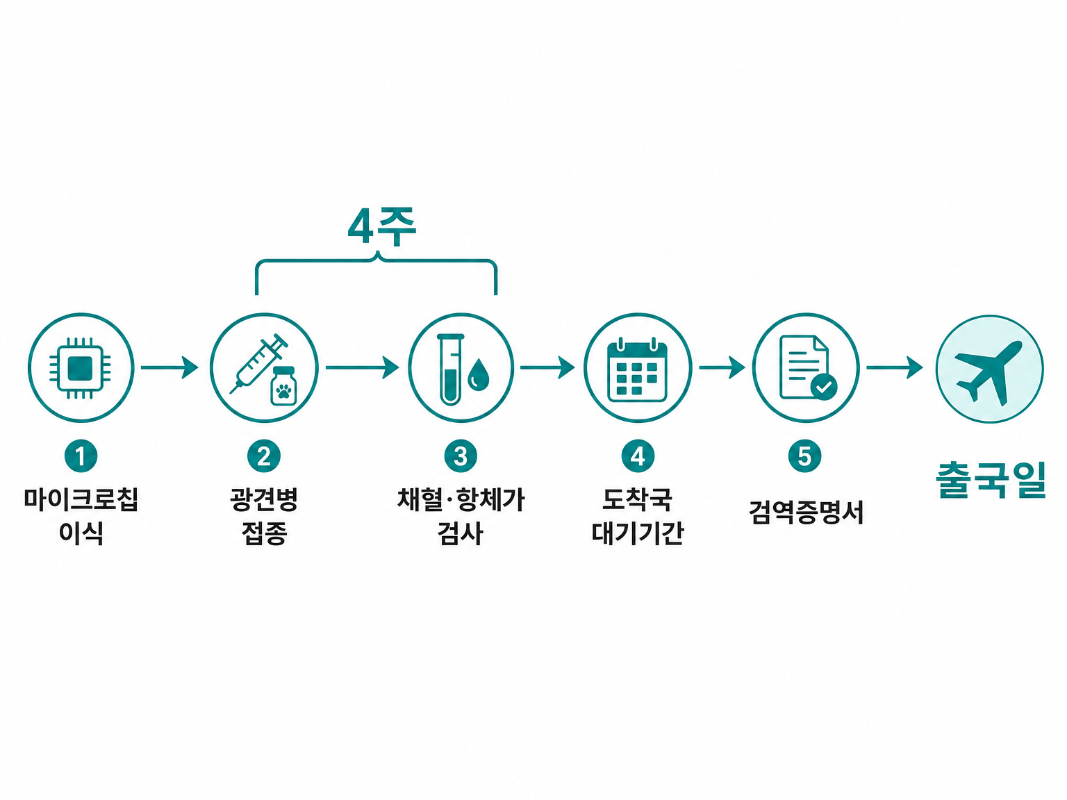 마이크로칩 이식에서 출국일까지의 준비 순서와 4주 간격 (댕묘 제작 도식)