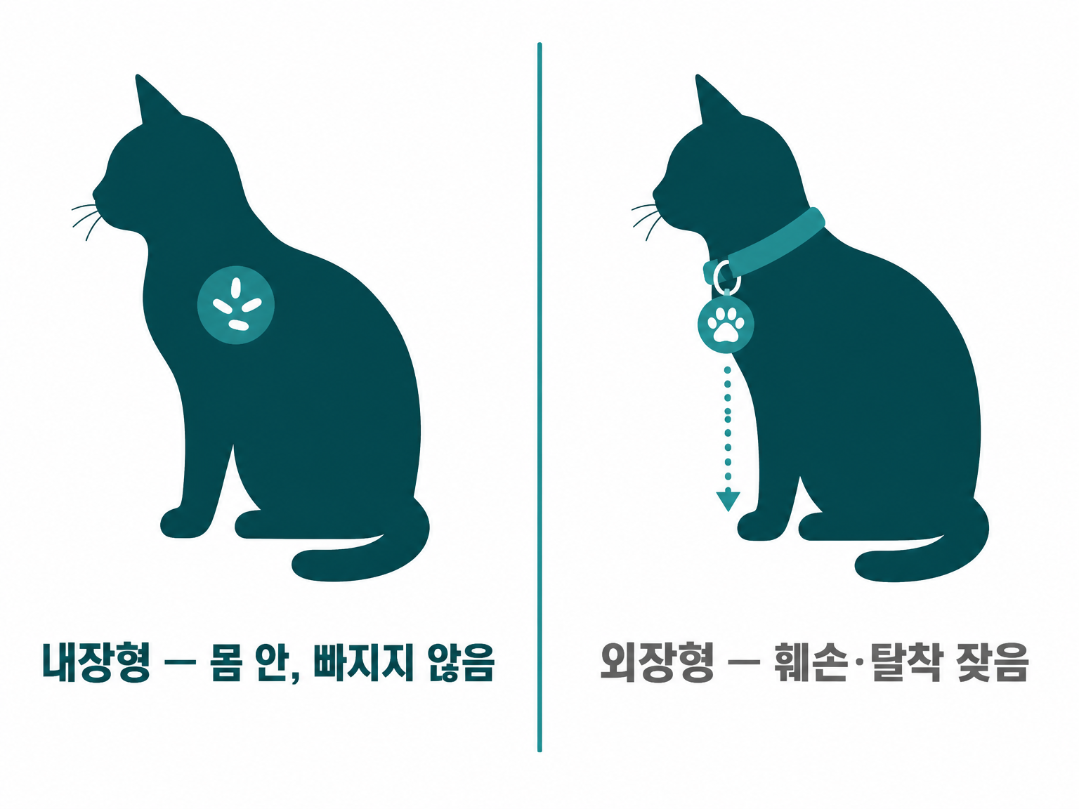 고양이가 내장형만 허용되는 이유 (댕묘 제작 도식)