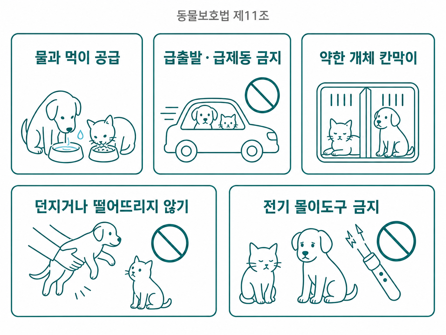 동물 운송 시 준수사항 다섯 가지 (동물보호법 제11조, 댕묘 제작 도식)