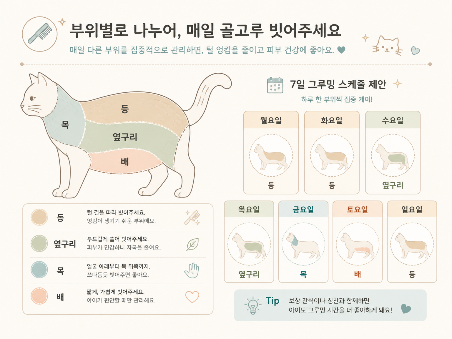 전신을 한 번에 하지 않고 부위를 요일로 나눈 배분 (댕묘 작성)