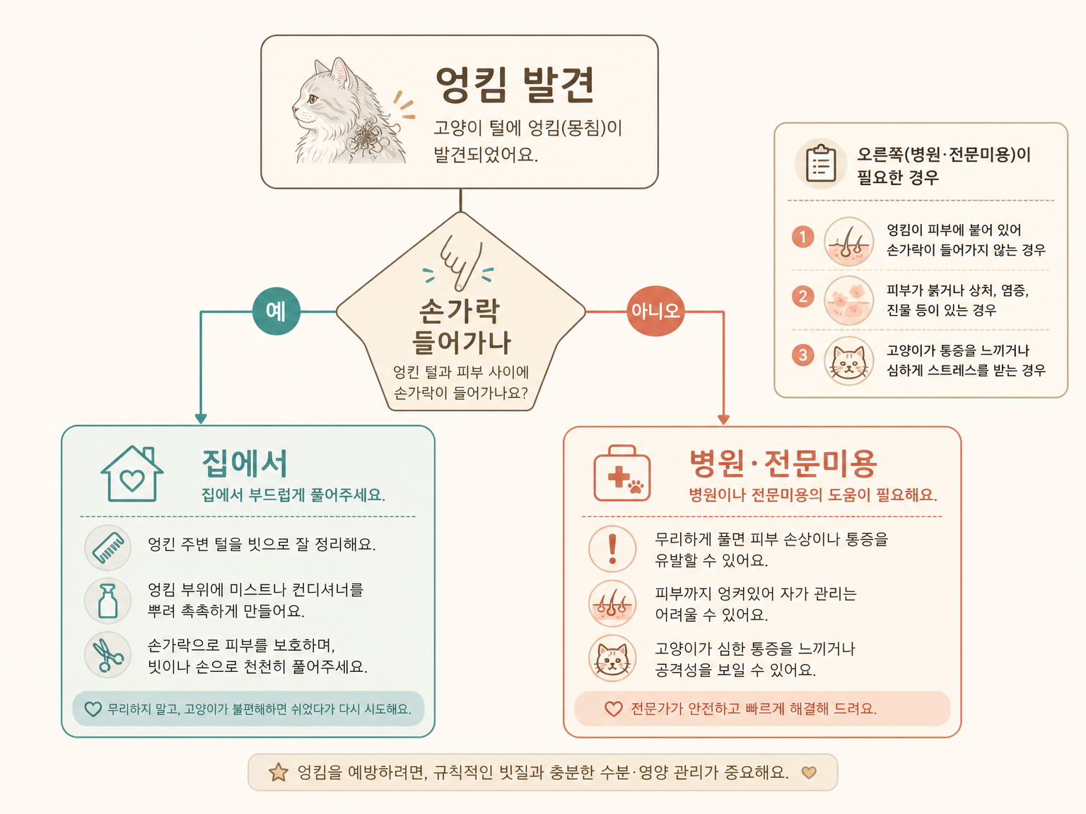 엉킴을 발견했을 때 집에서 풀지 병원에 갈지 가르는 판단 흐름 (댕묘 작성)