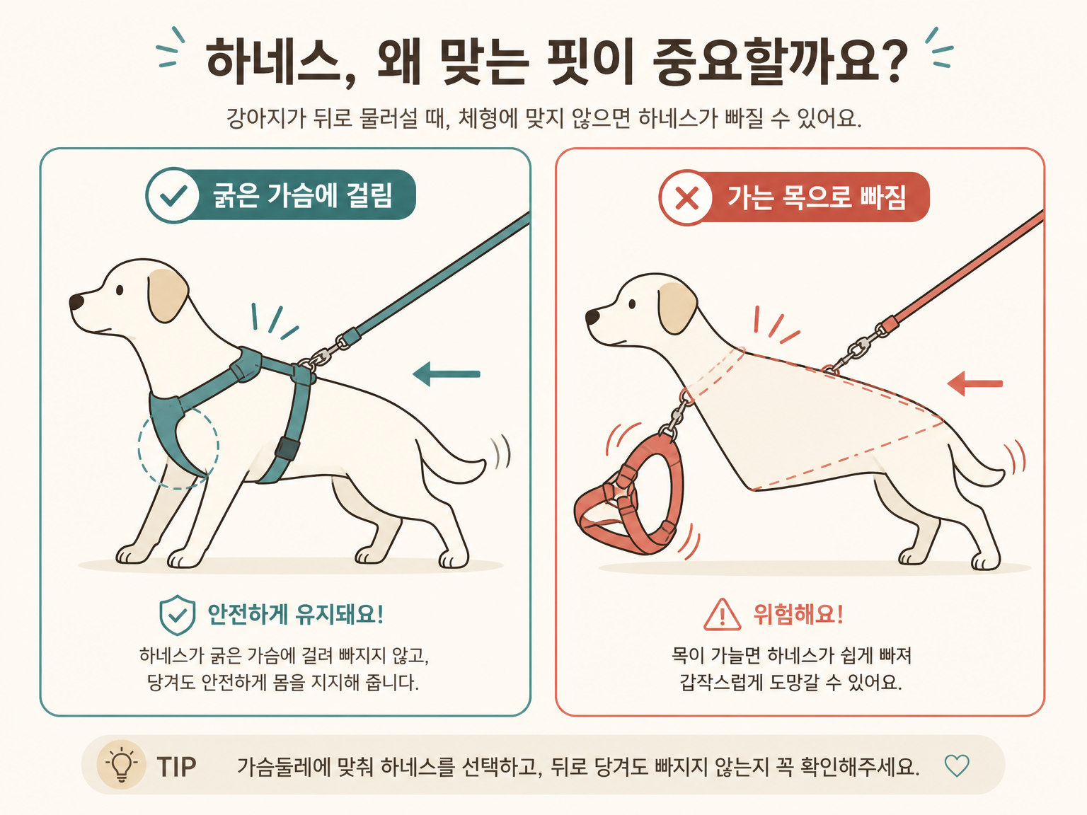 뒤로 물러날 때 굵은 가슴에 걸리는 경우와 가는 목으로 빠지는 경우 (댕묘 작성)