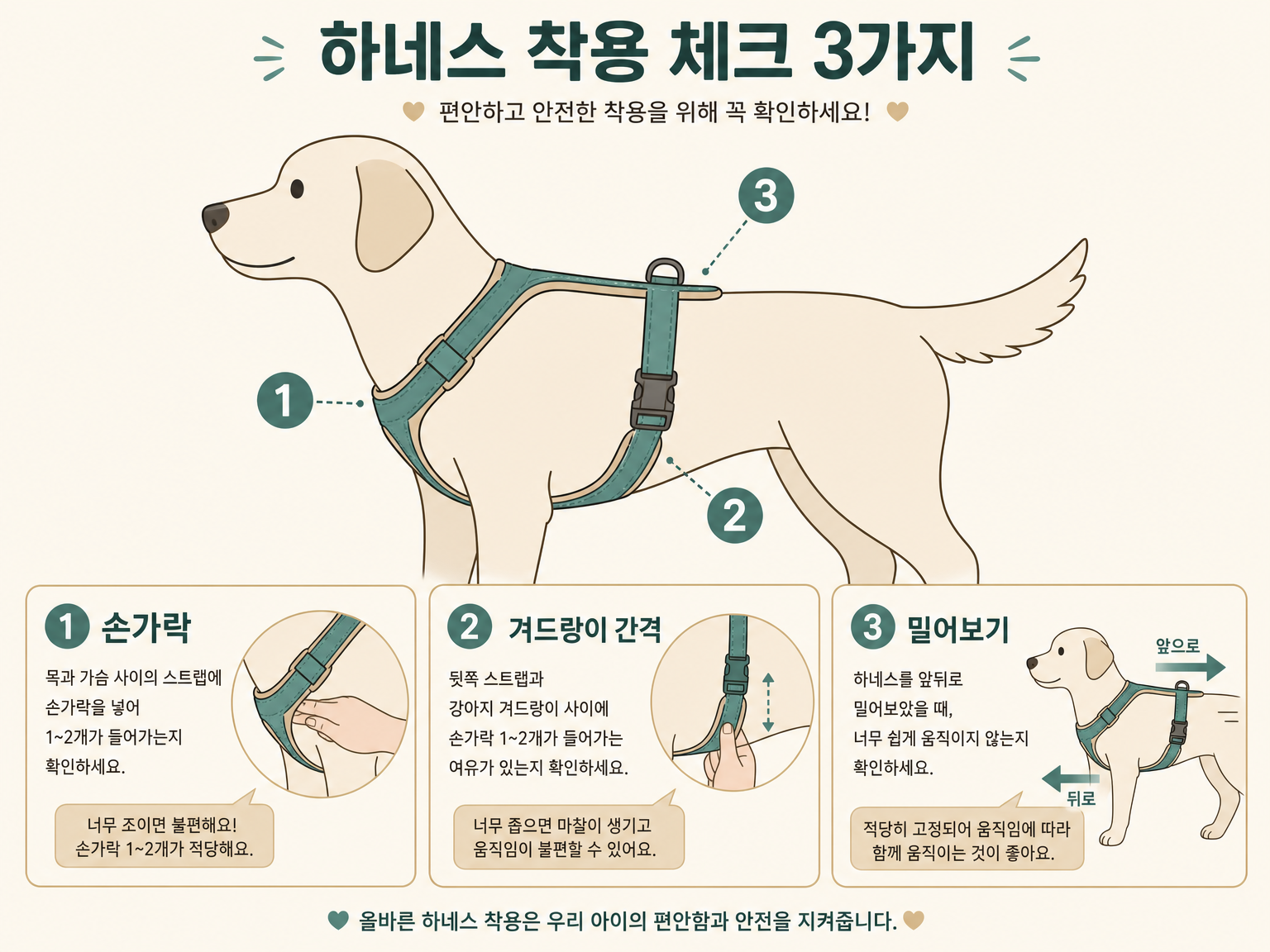 버클을 잠그고 난 뒤 손으로 확인할 세 지점 (댕묘 작성)