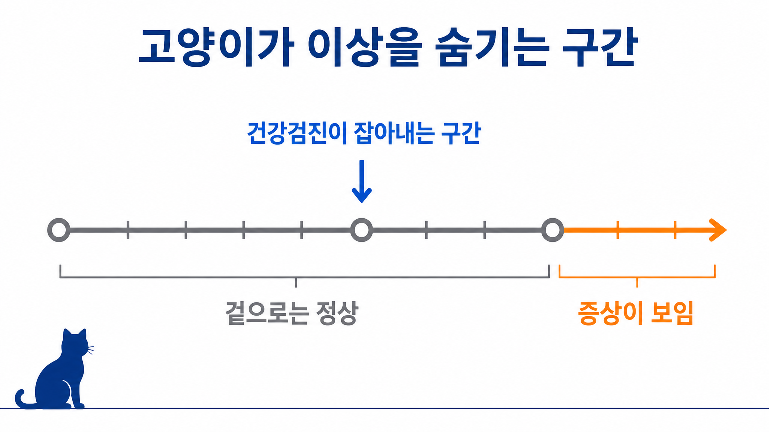 고양이가 이상을 겉으로 드러내지 않는 구간과 증상이 보이는 시점의 시차 (댕묘 작성)