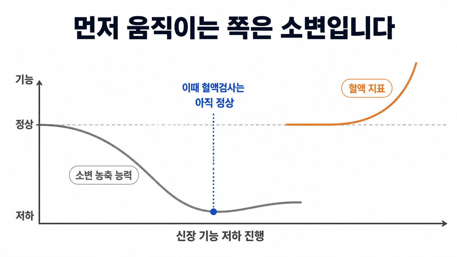 소변 농축 능력이 먼저 떨어지고 혈액 지표가 뒤따라 움직이는 순서 (댕묘 작성)