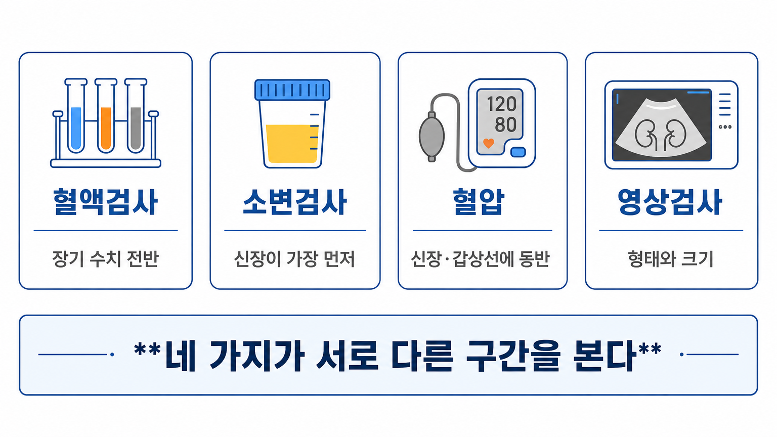 혈액검사·소변검사·혈압·영상검사가 각각 채우는 구간 (댕묘 작성)