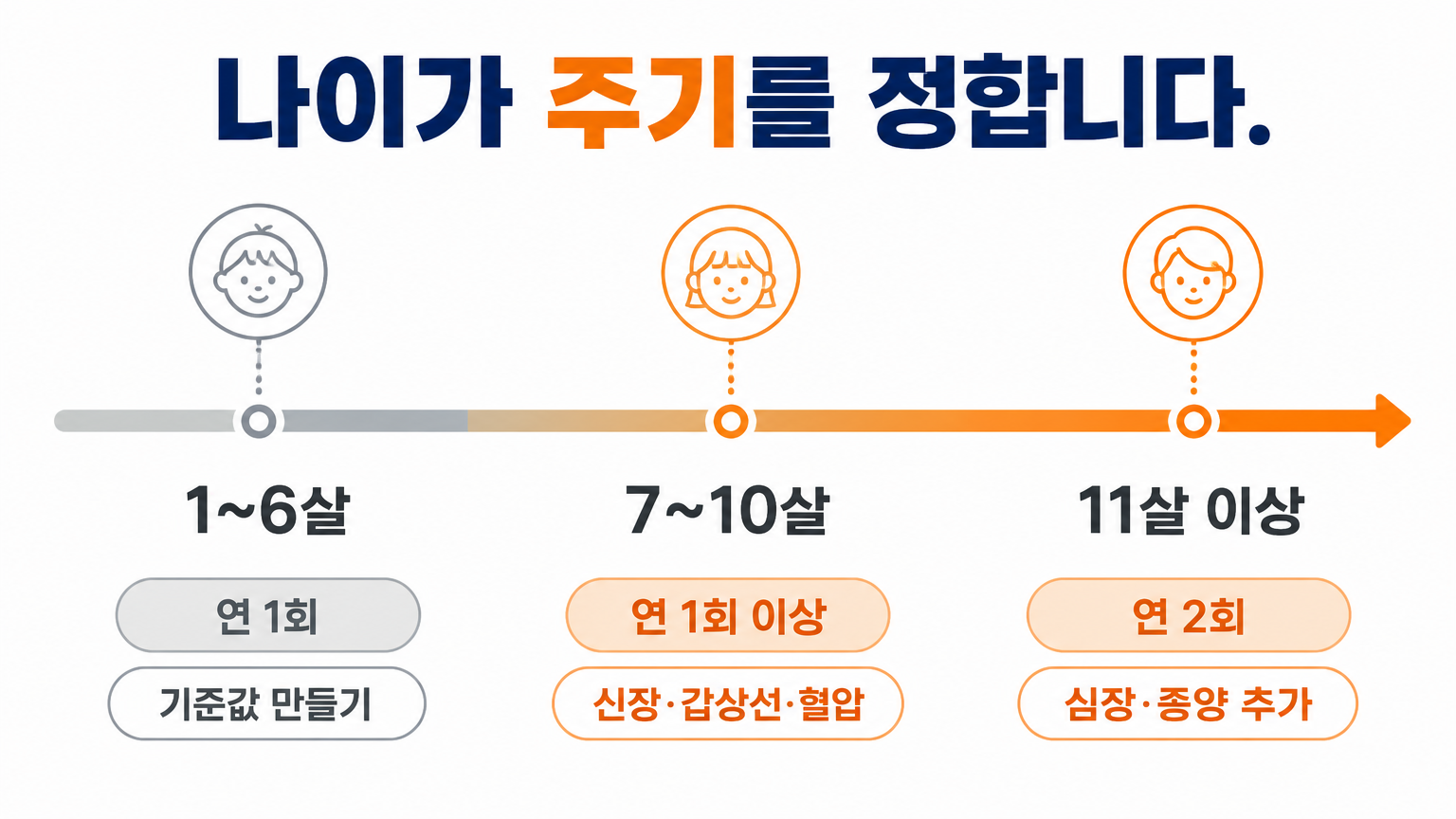 나이대별 검진 주기와 각 시기에 무게가 실리는 항목 (댕묘 작성)