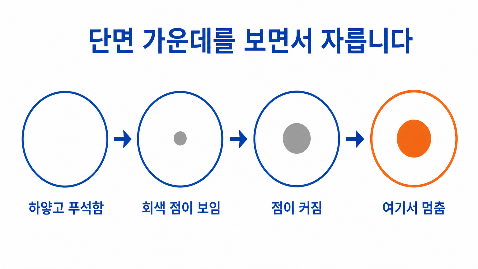 검은 발톱을 조금씩 자를 때 단면 색이 바뀌는 순서와 멈추는 지점 (댕묘 작성)