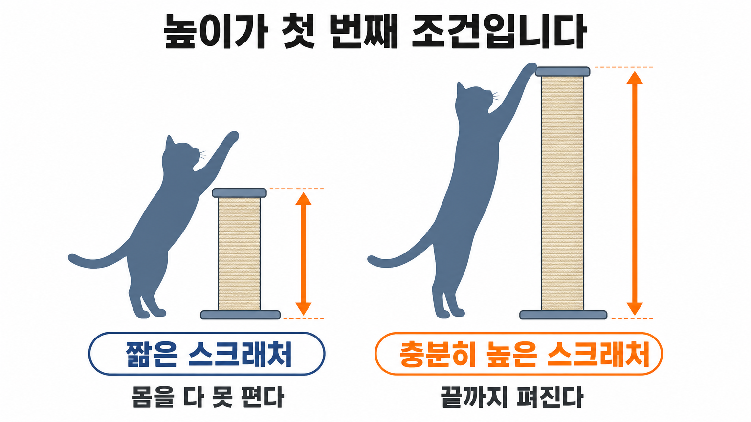 고양이가 몸을 다 폈을 때의 높이와 흔히 파는 스크래처 높이의 비교 (댕묘 작성)