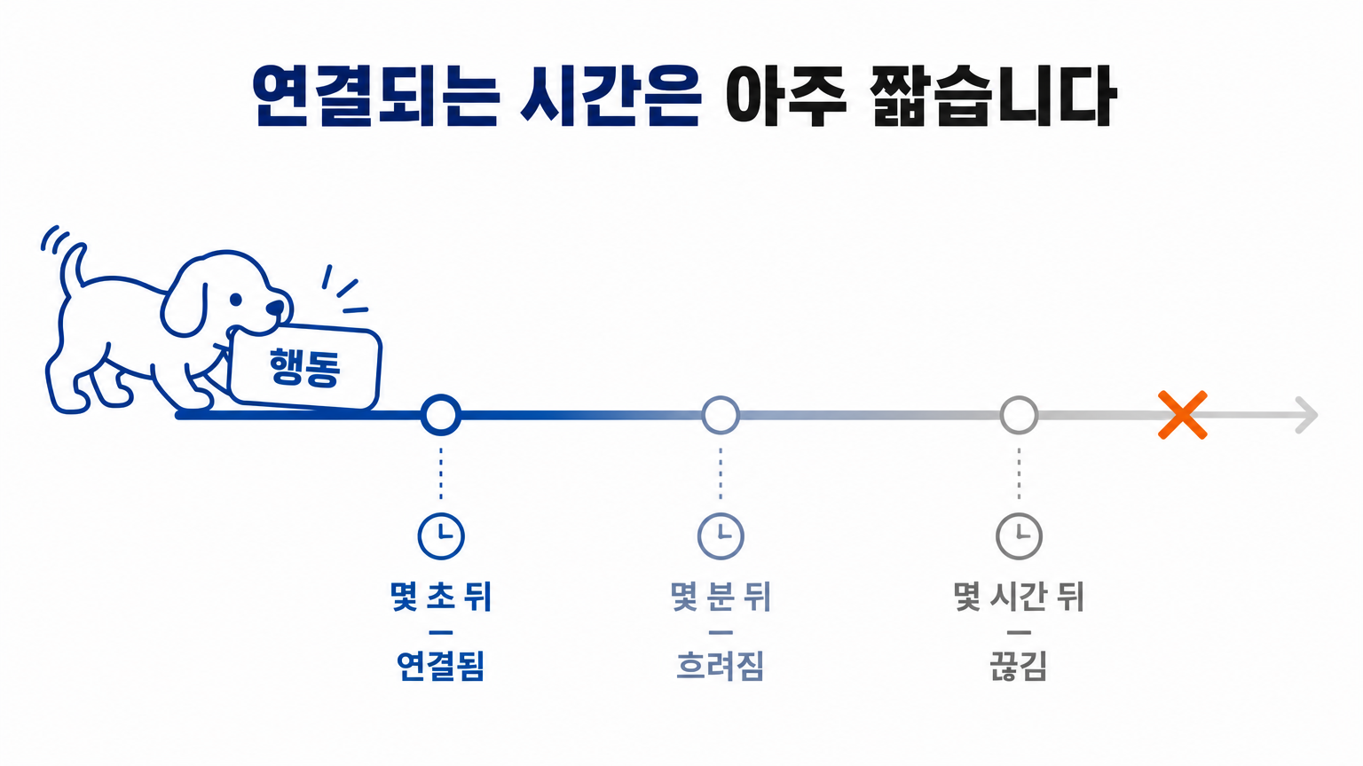 행동과 결과 사이의 시간이 벌어질수록 연결이 끊기는 구간 (댕묘 작성)
