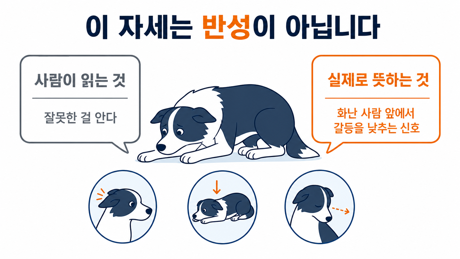 사람이 반성으로 읽는 자세와 그 자세가 실제로 뜻하는 것 (댕묘 작성)