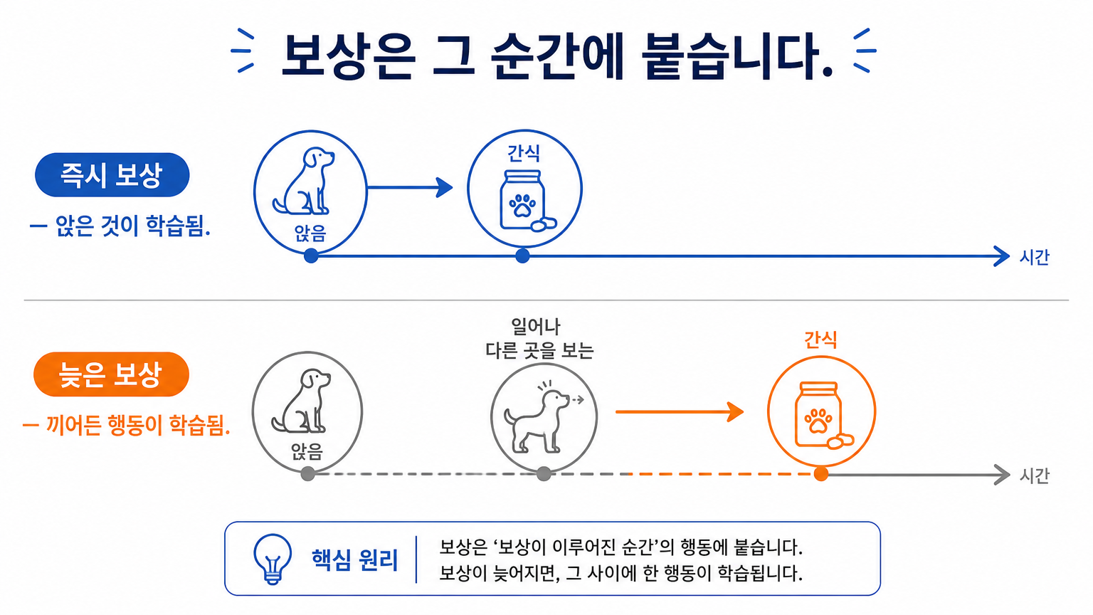 원하는 행동이 나온 순간과 보상이 도착하는 순간의 간격 (댕묘 작성)