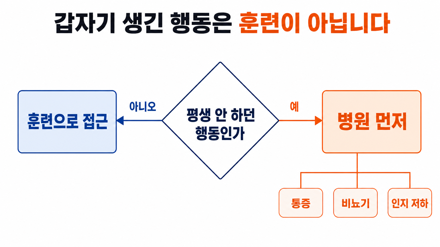 행동 문제와 몸의 문제를 가르는 기준 (댕묘 작성)