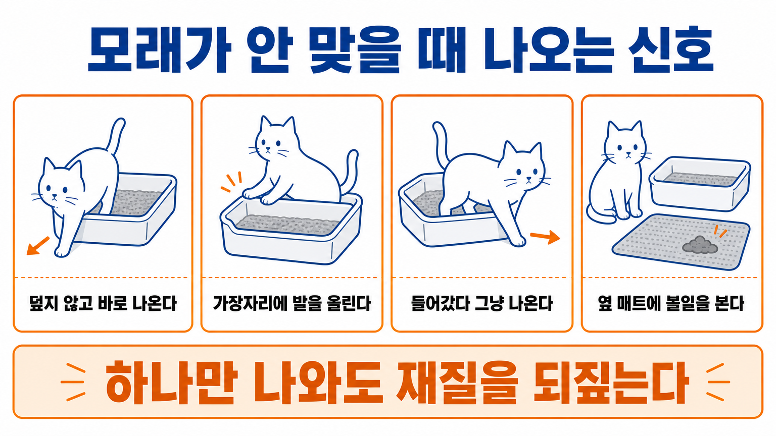 모래가 안 맞을 때 나오는 네 가지 행동 신호 (댕묘 작성)