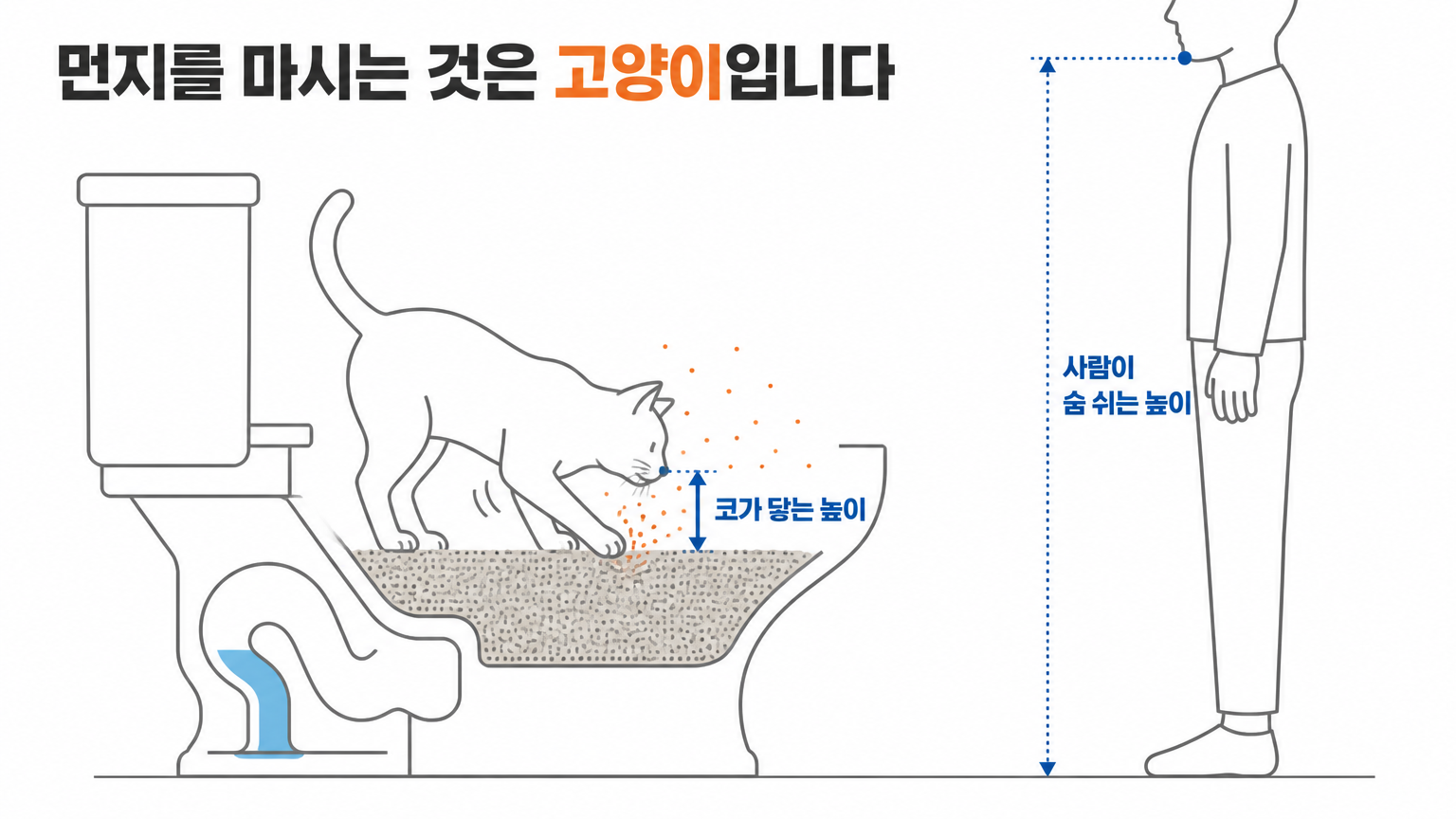 고양이가 파는 자세와 먼지를 들이마시는 높이 (댕묘 작성)