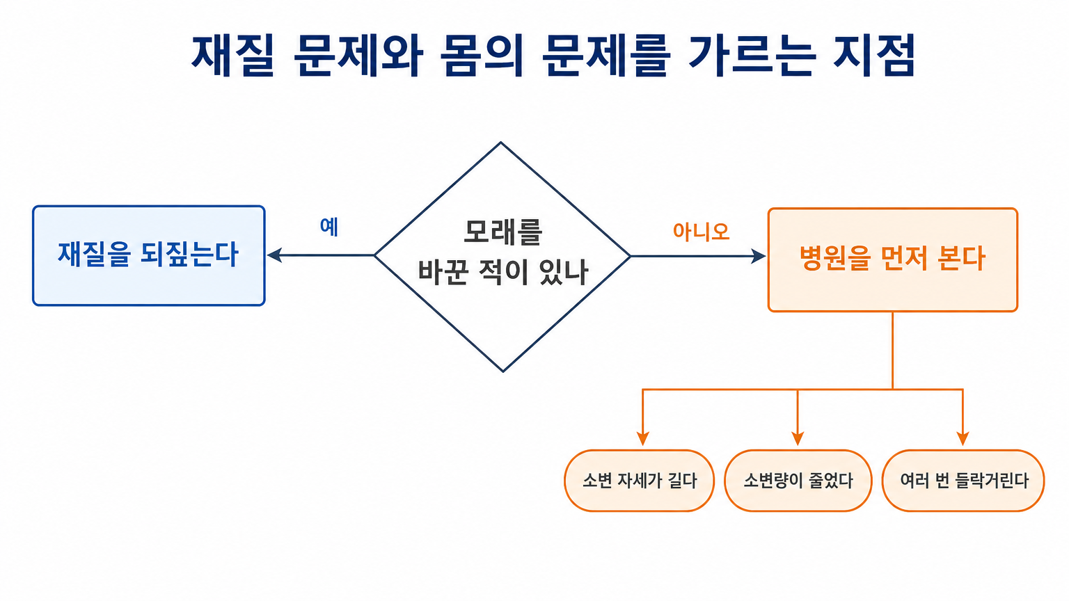 재질 문제와 몸의 문제를 가르는 지점 (댕묘 작성)