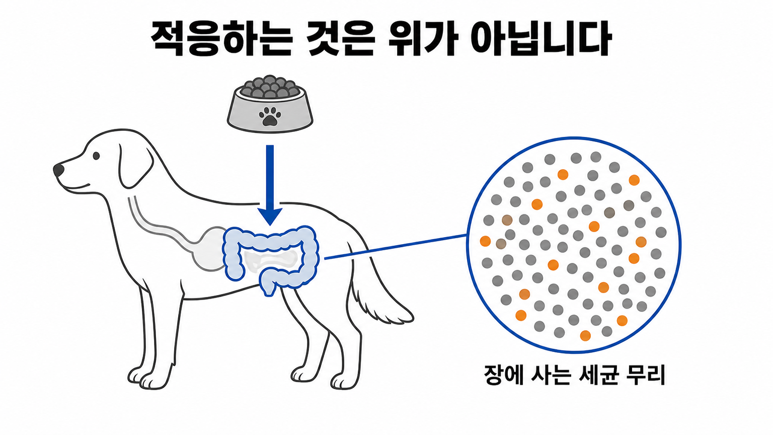 사료를 바꿀 때 실제로 적응해야 하는 것 — 장에 사는 세균 무리 (댕묘 작성)