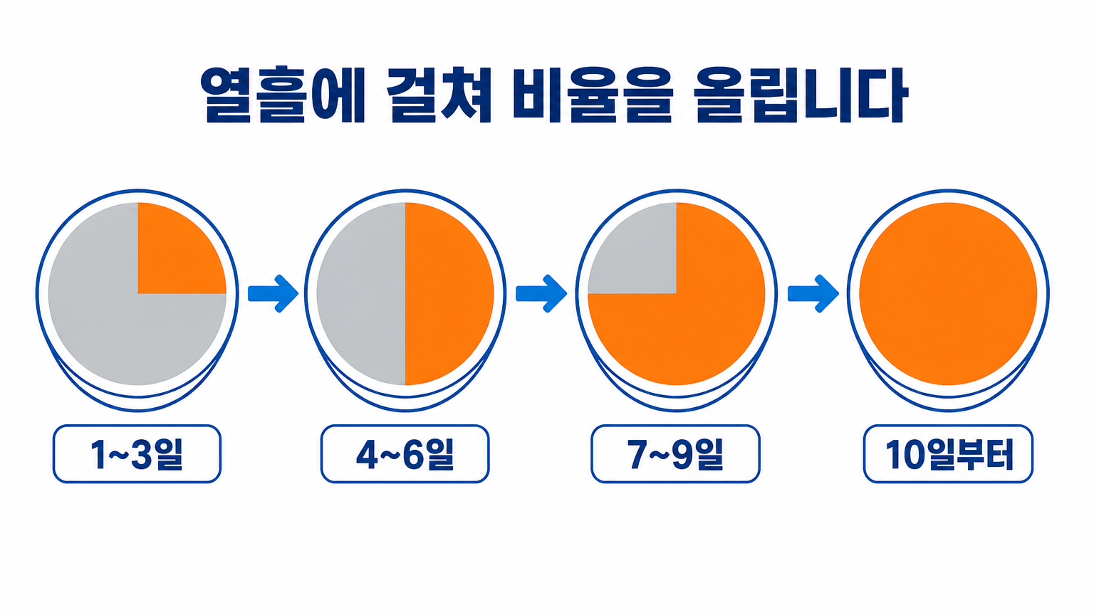 열흘 전환의 비율 변화 (댕묘 작성)
