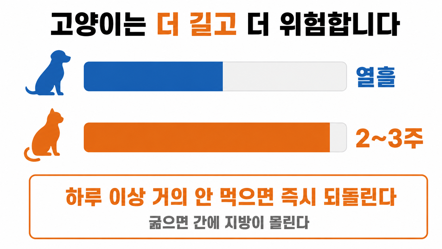 개와 고양이의 전환 기간 차이 (댕묘 작성)