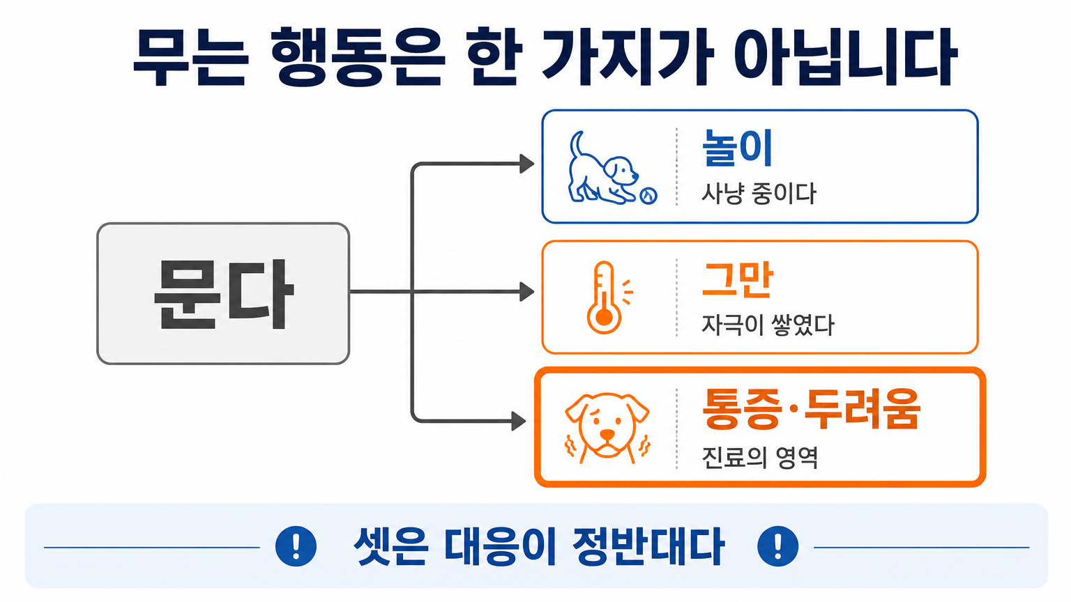 무는 행동이 갈리는 세 갈래 (댕묘 작성)
