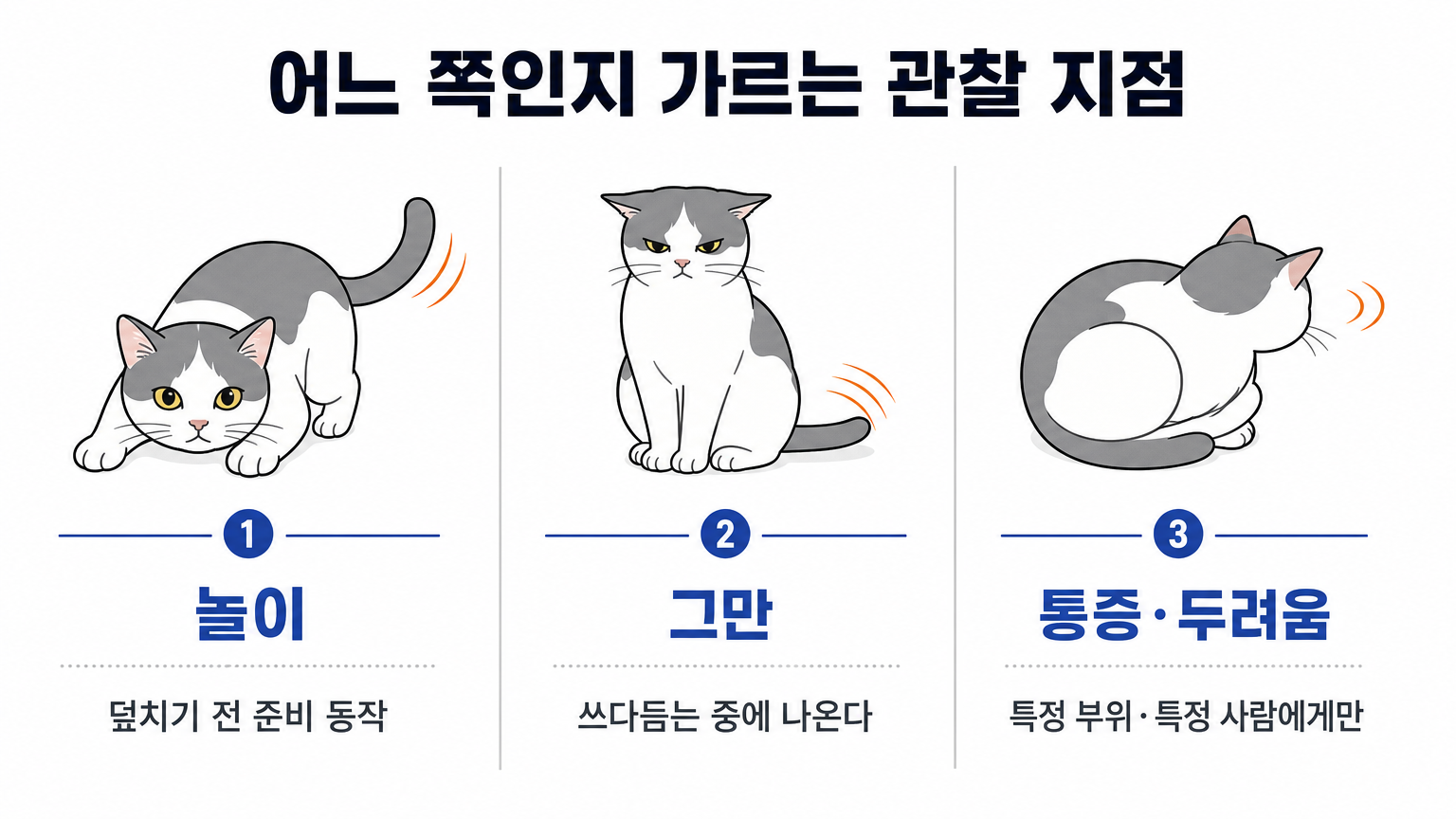 어느 쪽인지 가르는 관찰 지점 (댕묘 작성)