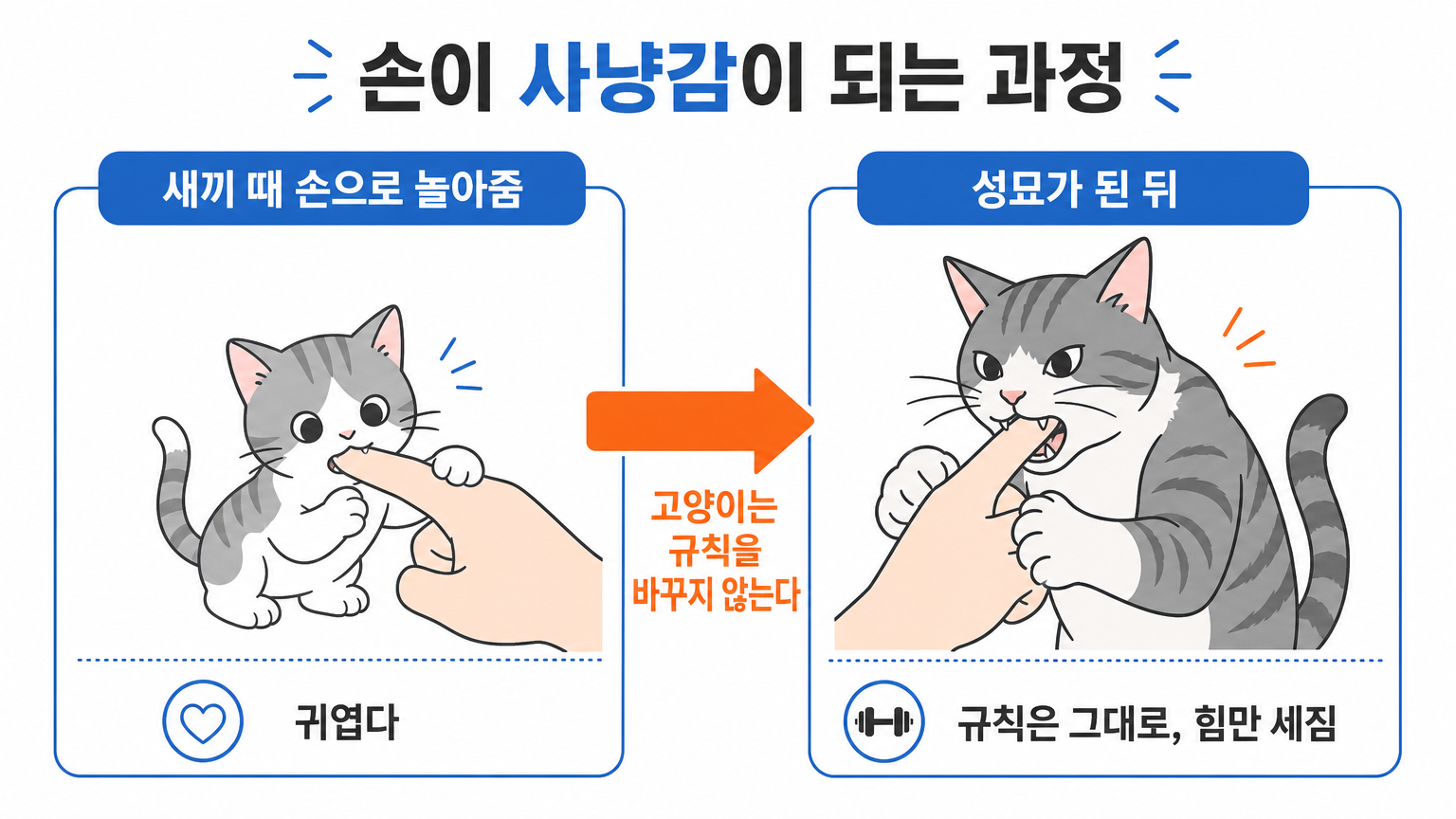 손으로 놀아줄 때 학습되는 규칙 (댕묘 작성)