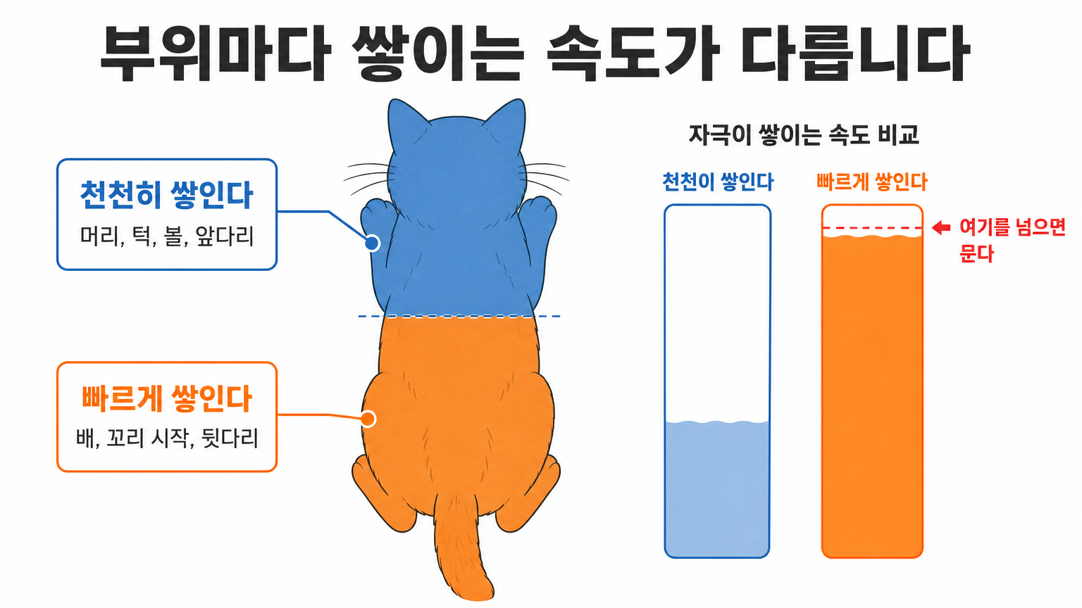 자극이 쌓이는 속도가 부위마다 다른 구조 (댕묘 작성)