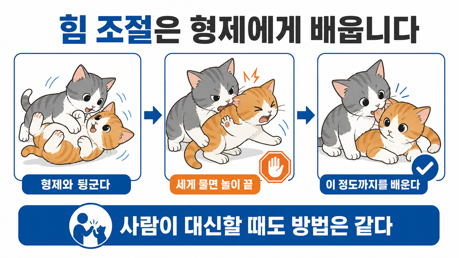형제 사이에서 힘 조절이 학습되는 구조 (댕묘 작성)
