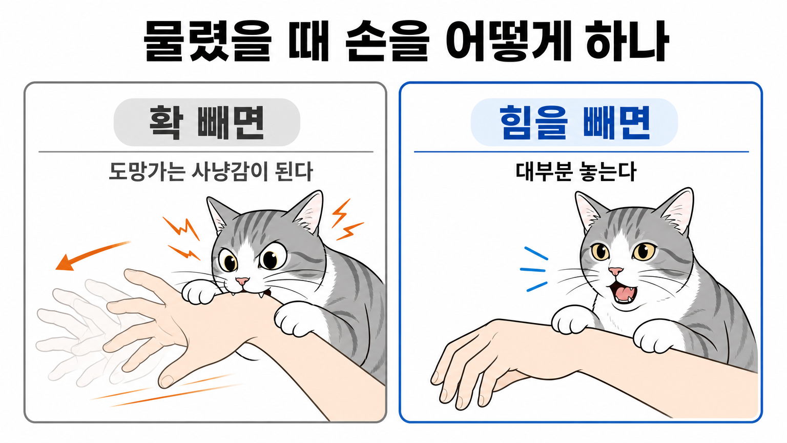 손을 확 뺄 때와 힘을 뺄 때의 차이 (댕묘 작성)
