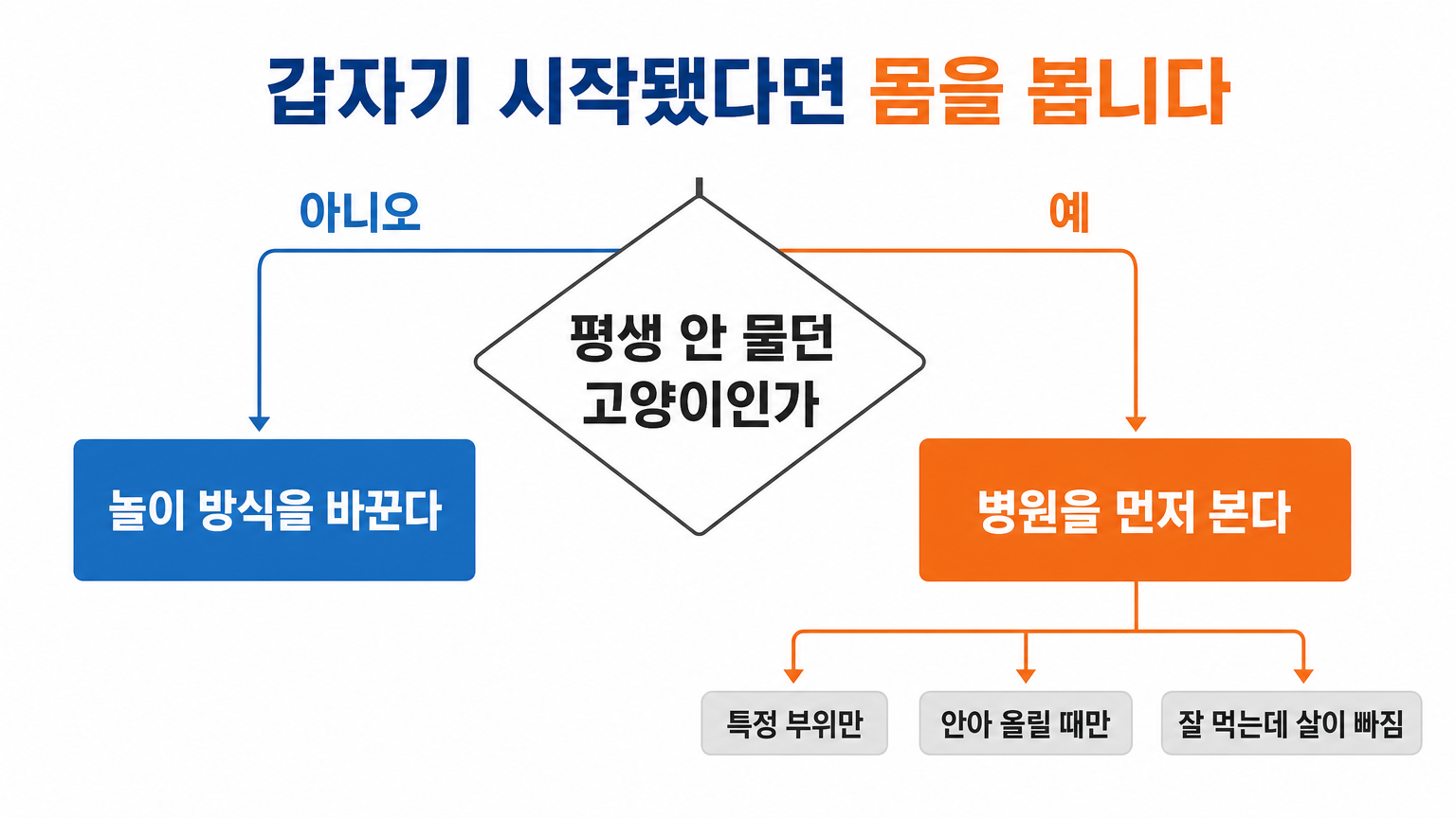 훈련으로 접근할 것과 진료가 먼저인 것 (댕묘 작성)