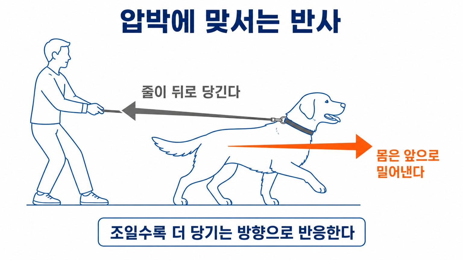 줄이 조일 때 몸이 반대로 밀어내는 반사 (댕묘 작성)
