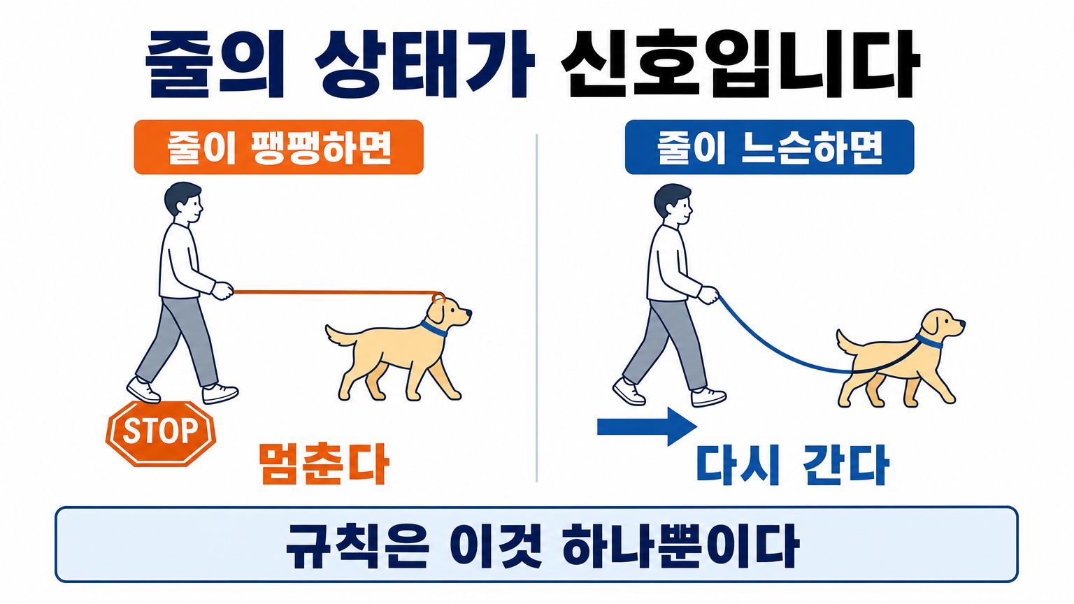 줄이 팽팽할 때와 느슨할 때 사람이 하는 행동 (댕묘 작성)