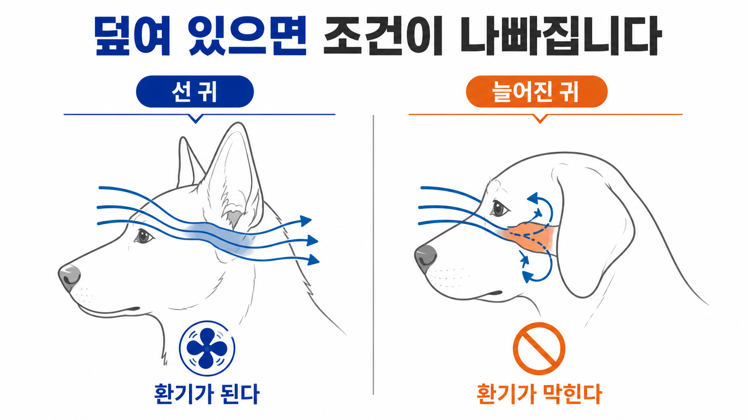 늘어진 귀와 선 귀에서 통풍이 갈리는 지점 (댕묘 작성)