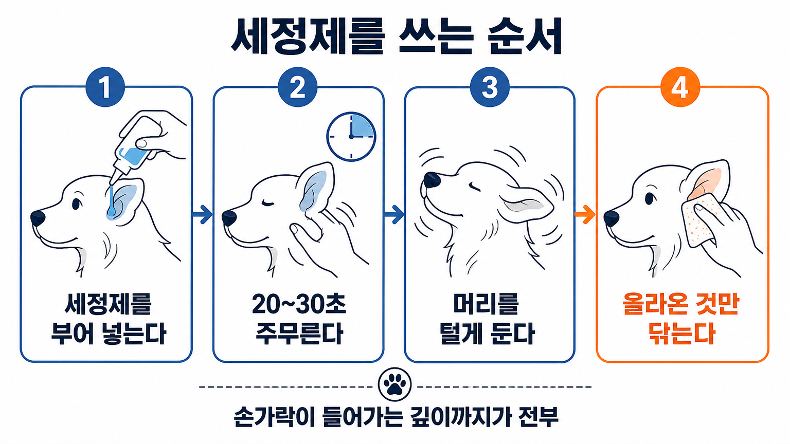 세정제를 쓰는 네 단계 (댕묘 작성)