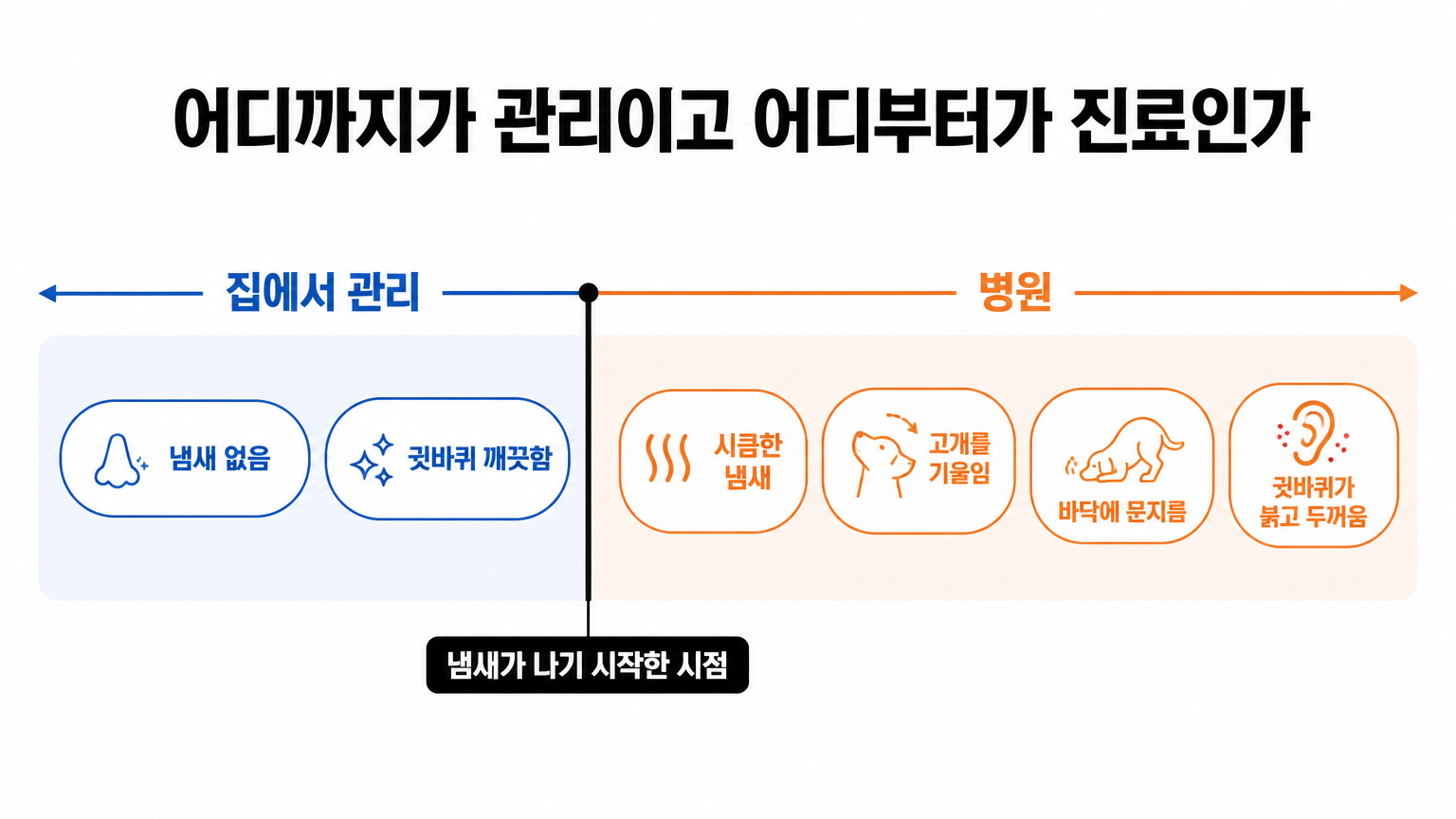 관리로 될 단계와 진료가 필요한 단계 (댕묘 작성)