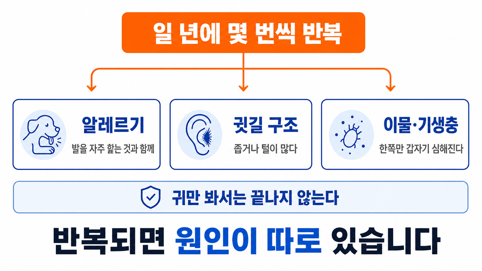 반복되는 염증에서 의심하는 세 원인 (댕묘 작성)