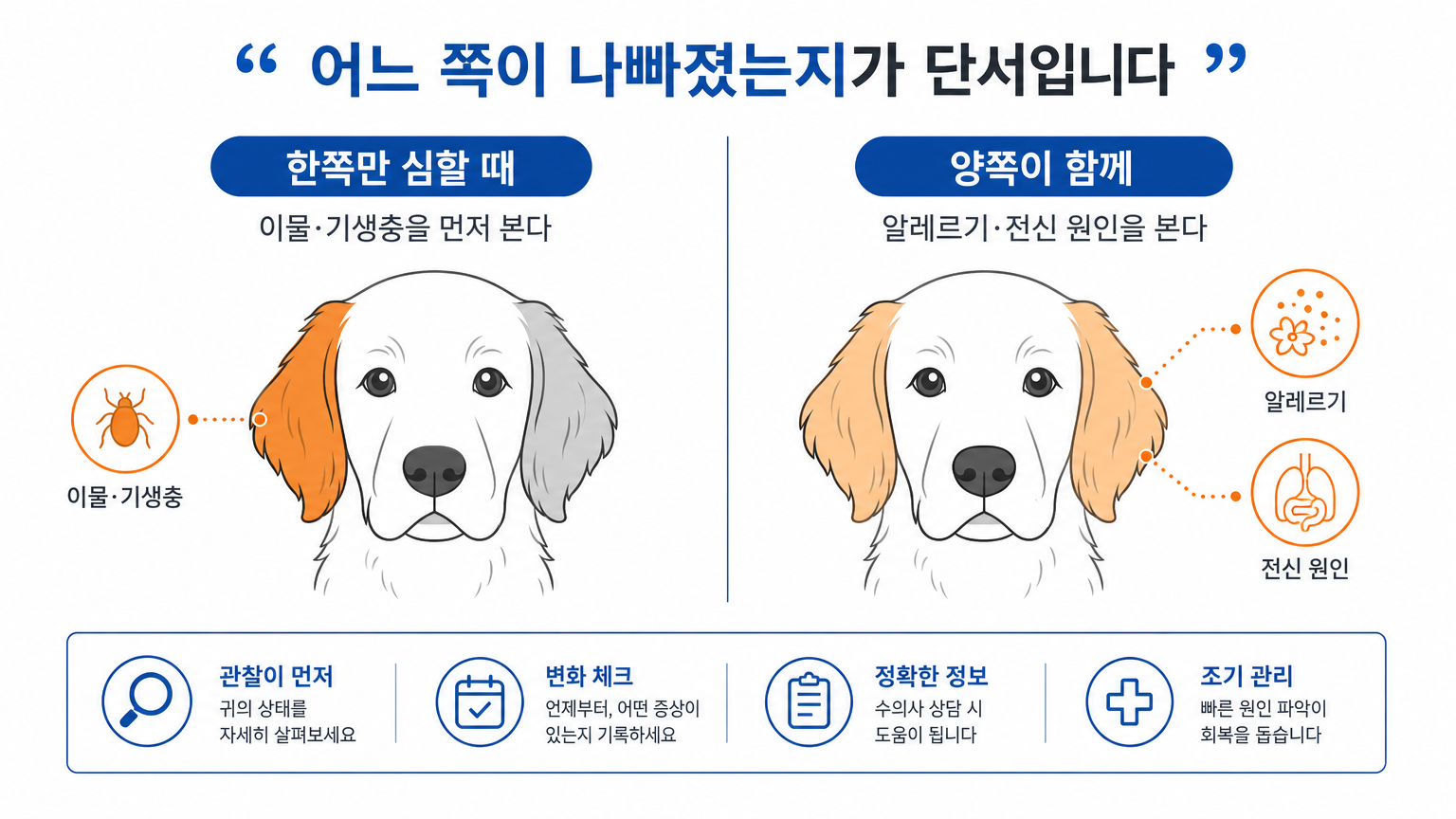 한쪽만 심할 때와 양쪽이 함께 나빠질 때의 차이 (댕묘 작성)