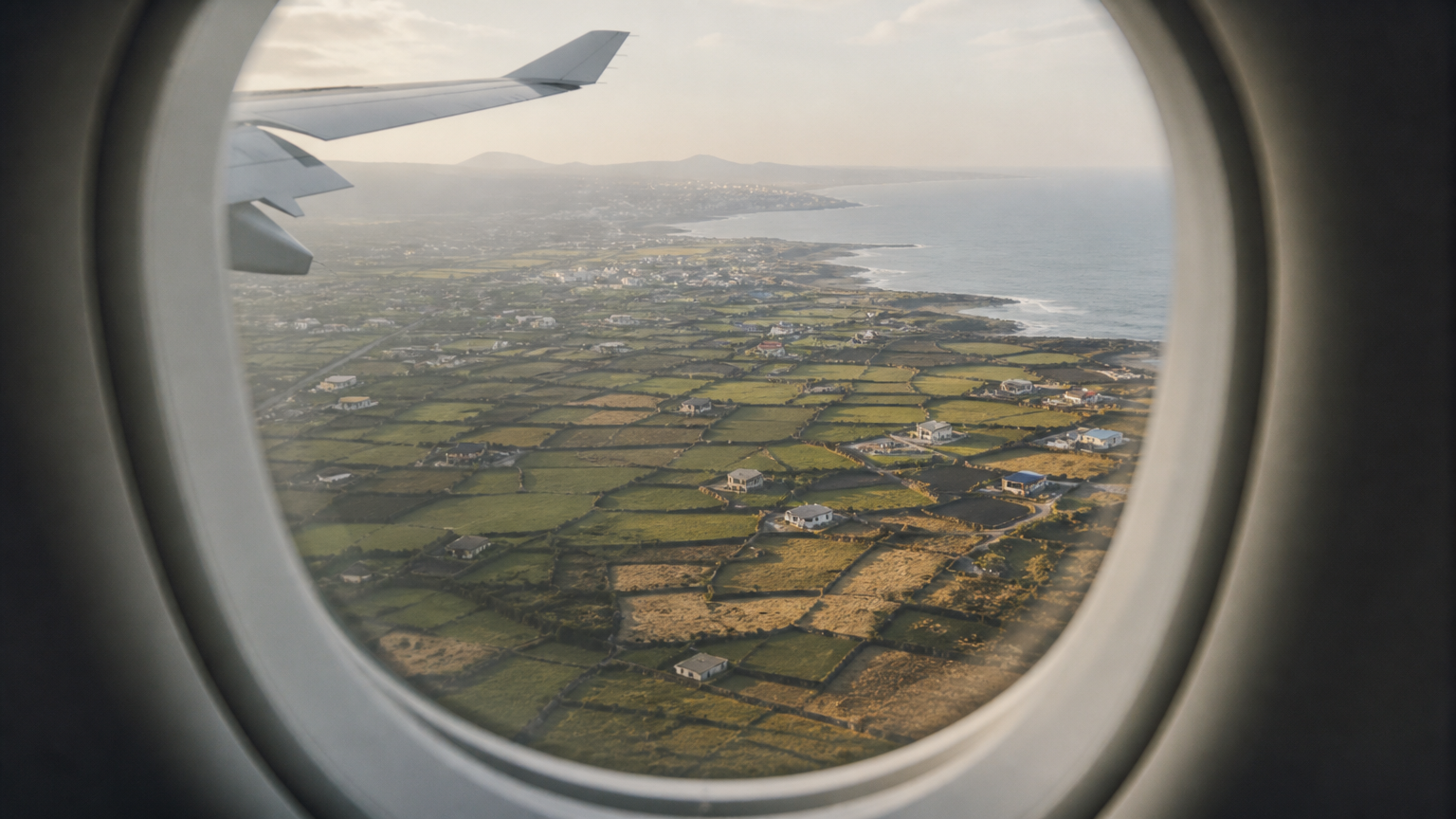 Descending over Jeju's field walls. Illustration generated for Jeong, Korea.
