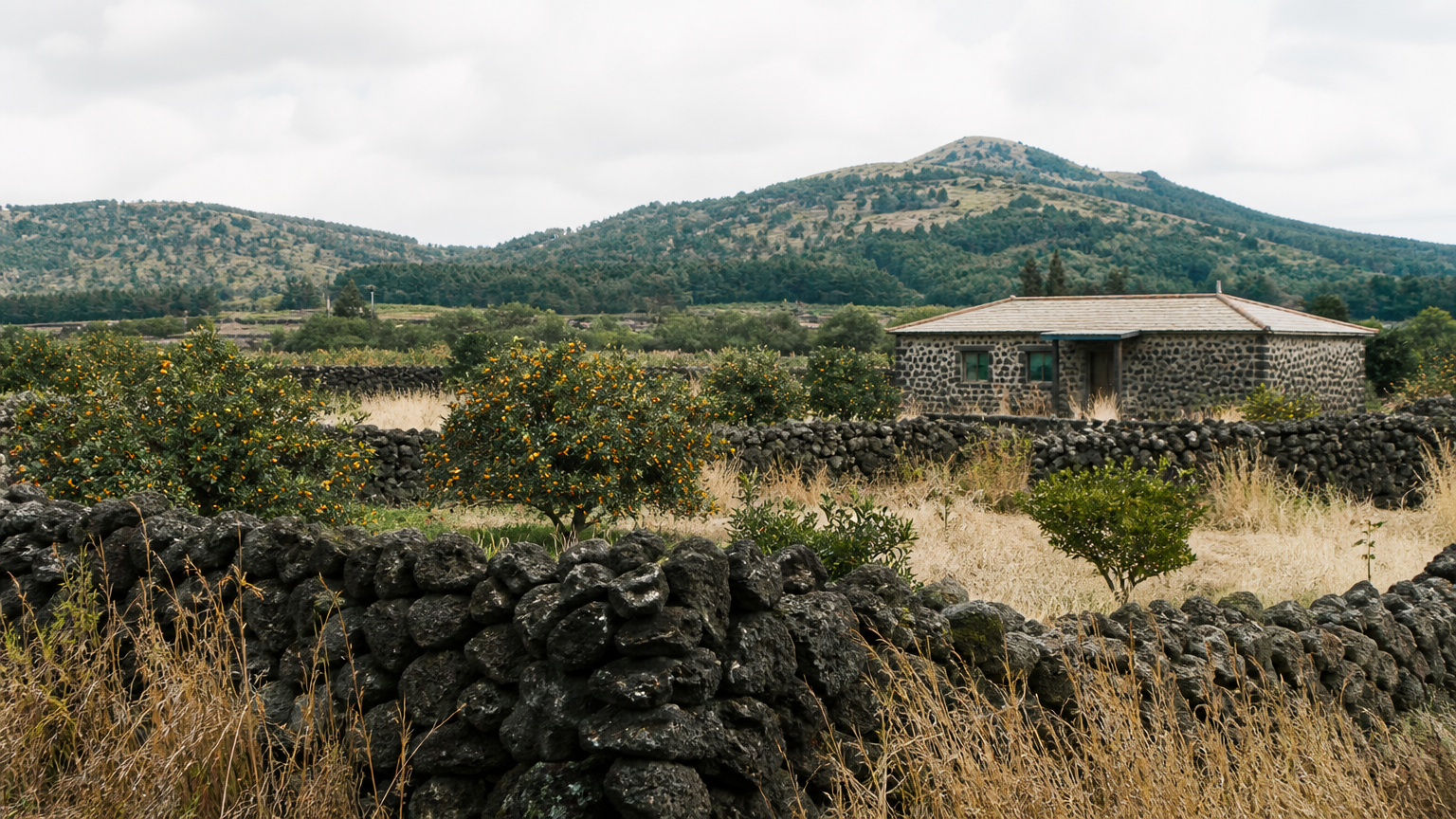 Volcanic stone walls around a tangerine grove. Illustration generated for Jeong, Korea.