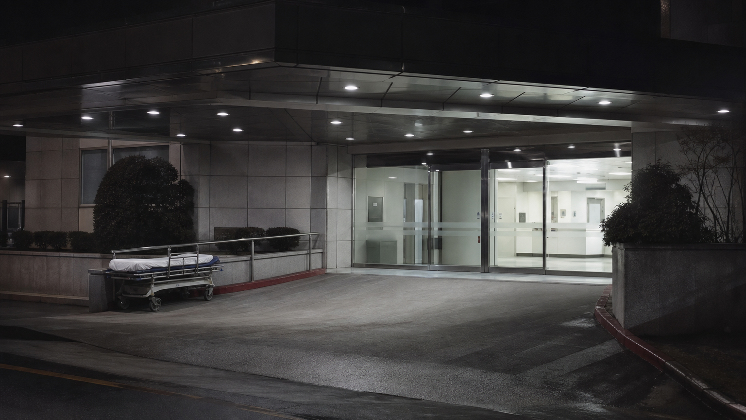 The emergency entrance, where the free part ends. Illustration generated for Jeong, Korea.