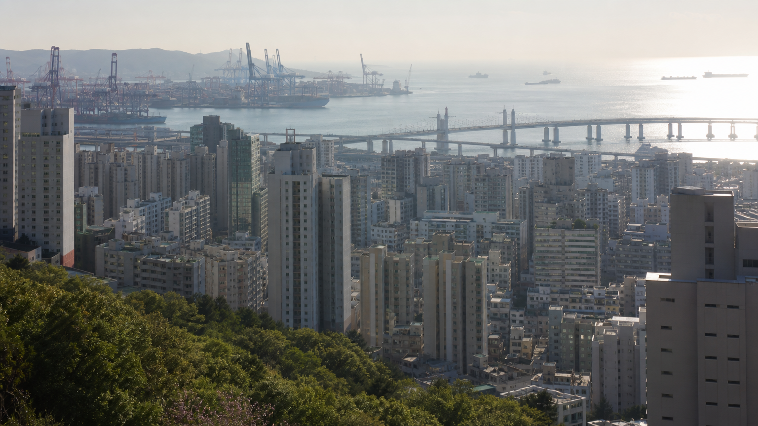 Busan stacked up its hillsides above the harbour.