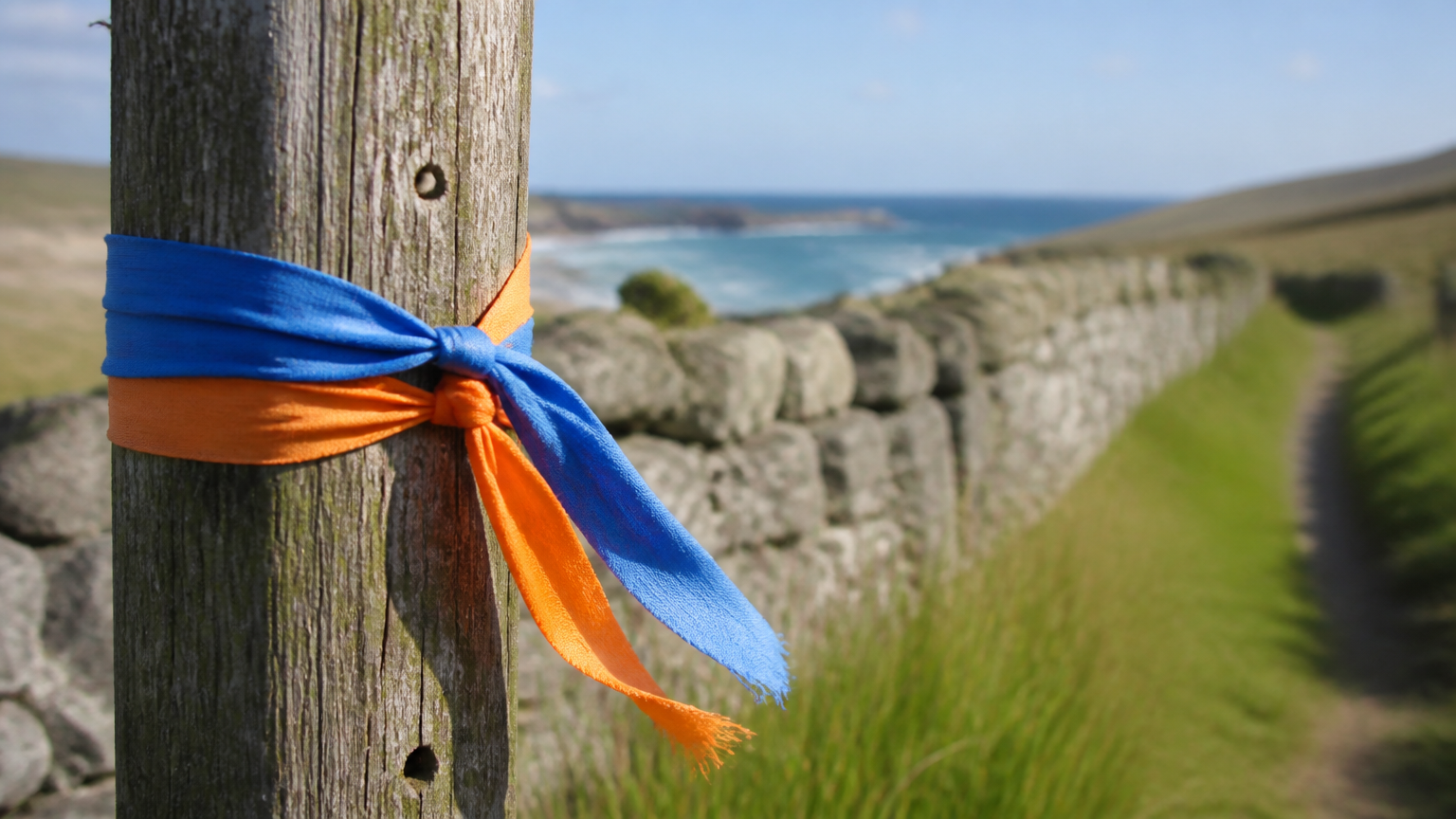Blue and orange. The order tells you which way you are walking.