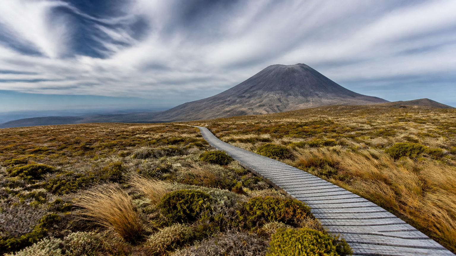 The plateau at Witseoreum — where five of the seven trails top out.